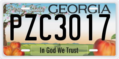 GA license plate PZC3017