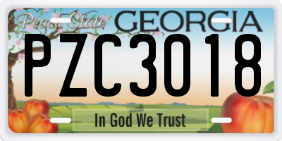 GA license plate PZC3018