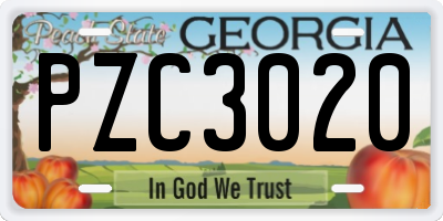 GA license plate PZC3020
