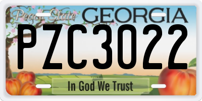 GA license plate PZC3022