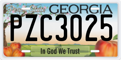 GA license plate PZC3025