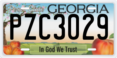 GA license plate PZC3029