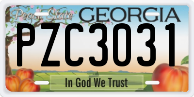 GA license plate PZC3031
