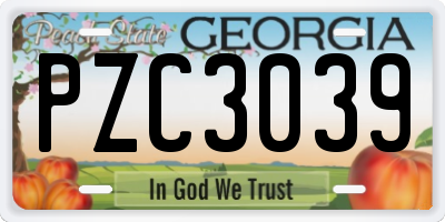 GA license plate PZC3039