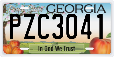 GA license plate PZC3041