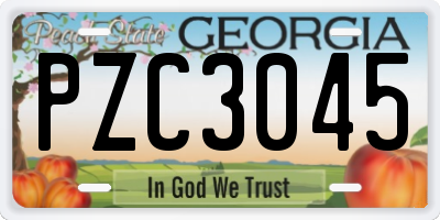 GA license plate PZC3045