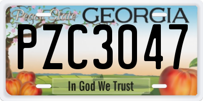GA license plate PZC3047