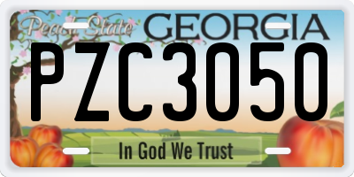 GA license plate PZC3050