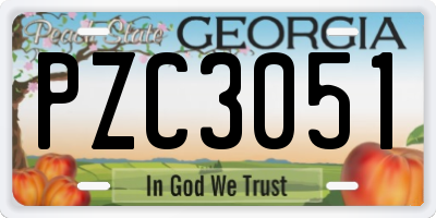 GA license plate PZC3051