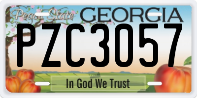 GA license plate PZC3057