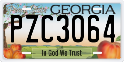 GA license plate PZC3064