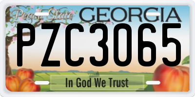 GA license plate PZC3065