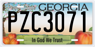 GA license plate PZC3071