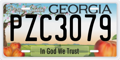 GA license plate PZC3079