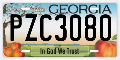 GA license plate PZC3080
