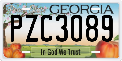 GA license plate PZC3089