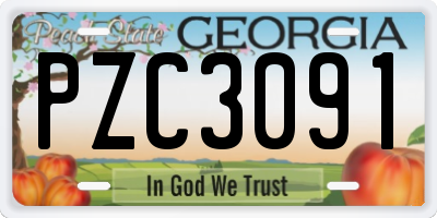 GA license plate PZC3091