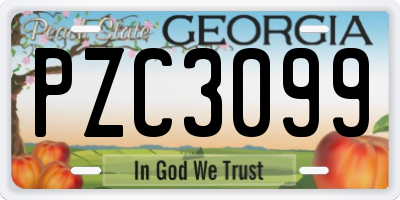 GA license plate PZC3099