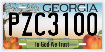 GA license plate PZC3100
