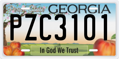 GA license plate PZC3101