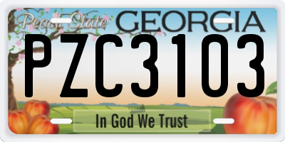 GA license plate PZC3103