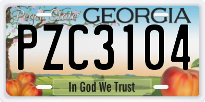 GA license plate PZC3104