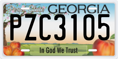 GA license plate PZC3105