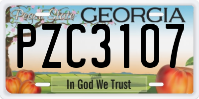 GA license plate PZC3107