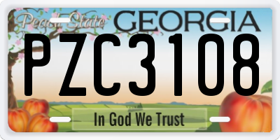 GA license plate PZC3108
