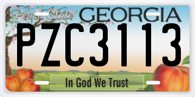GA license plate PZC3113