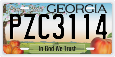 GA license plate PZC3114