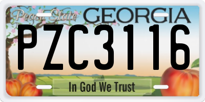 GA license plate PZC3116