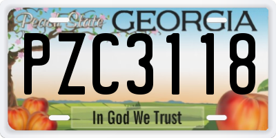GA license plate PZC3118