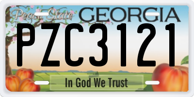GA license plate PZC3121