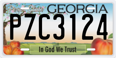 GA license plate PZC3124