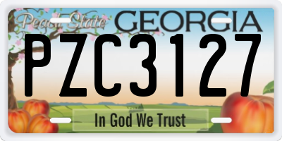 GA license plate PZC3127