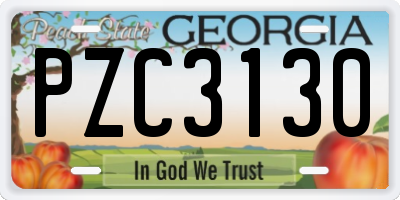 GA license plate PZC3130