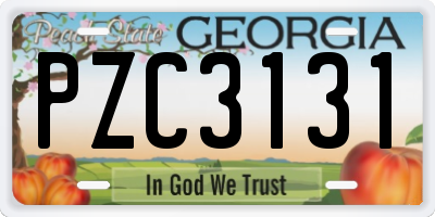 GA license plate PZC3131