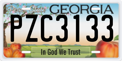 GA license plate PZC3133