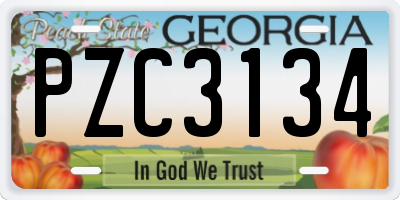 GA license plate PZC3134