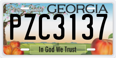 GA license plate PZC3137
