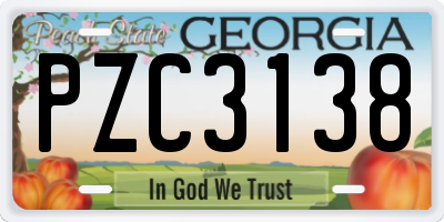 GA license plate PZC3138