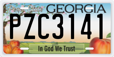 GA license plate PZC3141