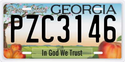 GA license plate PZC3146