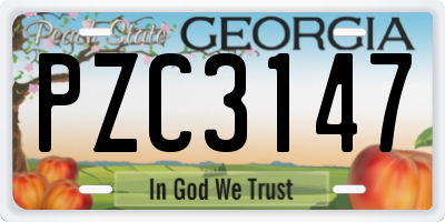 GA license plate PZC3147