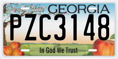 GA license plate PZC3148