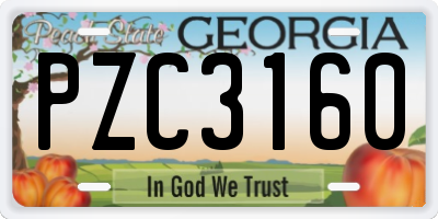 GA license plate PZC3160