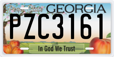 GA license plate PZC3161