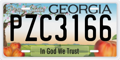GA license plate PZC3166