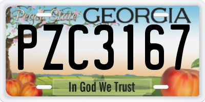 GA license plate PZC3167